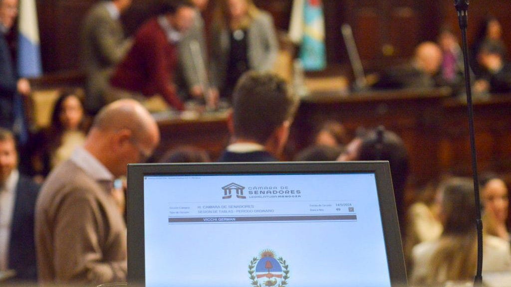 Mendoza sanctioned the Parental Control Law of Virtual Wallets that will allow to combat bets in minors