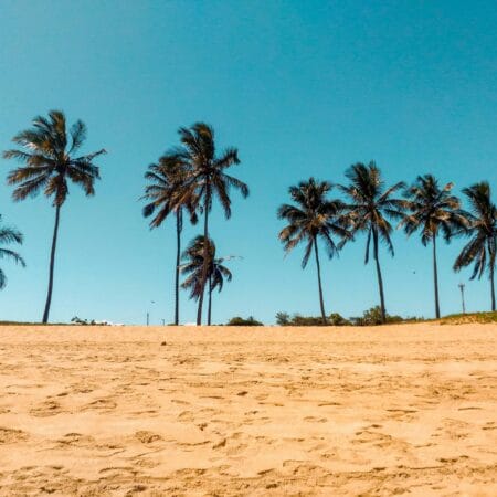 10-12 Operators to Dominate Brazil Betting Market